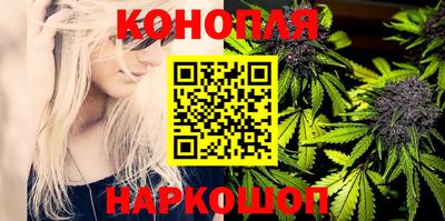 сатива Волжский